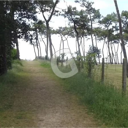 Maison Cosy, 600m De La Plage, Confort, Jardin Cloture, - Fr-1-357-28 La Tranche-sur-Mer